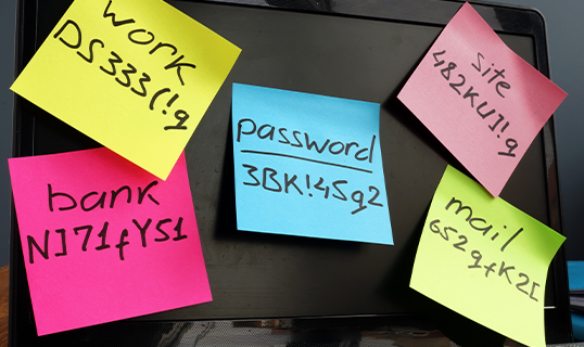 Security via Passwords: Will it soon be a thing of the past?